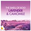 Bold All-in-1 PODS Washing Liquid Capsules 70 Washes, Lavender & Camomile view 3