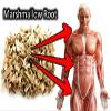 VITA PHARMA Marshmallow Root 2000mg 60 Capsules view 4