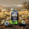 ORZAX Black Seed Oil Capsules 1000mg - High Strength 20mg Thymoquinone - 60 Cold Pressed Nigella Sativa Softgels - Supports Immune, Hair, Skin, and Joint Health view 3