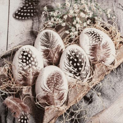 20 Napkins Easter Natural Eggs with Feathers as Table Decoration Paper Napkins with Motif Also for Decoupage and Decoupage 33 x 33 cm