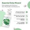 Ambrosial Zinc Picolinate Supplement 30 mg  High Strength Zinc Tablets for Women & Men  Non-GMO, GMP Certified, 120 Tablets (4 Months Supply) view 4