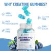 Aoruilia Creatine Gummies for Men & Women 5000mg 60 Chewable Creatine Monohydrate Gummies for Muscle Strength & Growth Sugar Free Pre-Workout Supplementm Vegans Gym (Blueberry Flavour) view 4