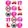 15 x 17th Birthday PINK Driving Mix Edible Wafer or Icing Cupcake Toppers Fun Party Cake Decorations (Premium Icing Sheet) view 1