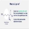 VITA PHARMA L-Lysine 1000mg 30 Tablets | Essential Amino Acid | Protein Synthesis Support | Collagen Formation Support view 4