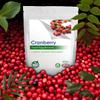 Cranberry Extract 12000mg Tablets, Natural UTI Support, Bladder Health (Pack of 180) view 3