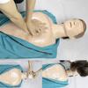 Teaching Model tools,Cardiopulmonary Resuscitation Simulator Manikin Half Body Teaching Anatomy Model First Aid Fake Artificial Respiration Training Manikin Profession First Aid fo view 3