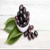 Ashoka Jamun Super Vegetable with Farm Fresh, Indian Black Plum, Frozen vegetable, Pretty Fruit with rich colour & Sweet taste, Indian origin - 310grams (PACK OF 2) view 4