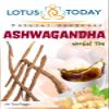 Premium Ashwagandha Tea: Unwind, Rejuvenate Relax, Night time Herbal Tea Blend view 4
