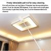 LUNCHS Duster With Extension Pole, Microfiber Feather Duster,Bendable Dusters For Cleaning Ceiling Fan, High Ceiling, Blinds, Furniture view 2