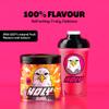 HOLY Energy Gaming Booster Flavour Powder | 50 portions with NewCaff & Green Tea Extract | Focus Booster - Focus Drink | Vegan with 100% natural fruit flavours (350 grams, Raspberry Raptor) view 3