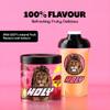 HOLY Energy Gaming Booster Flavour Powder | 50 portions with NewCaff & Green Tea Extract | Focus Booster - Focus Drink | Vegan with 100% natural fruit flavours (350 grams, Lion's Lemonade) view 3