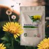 Dandelion Leaf Extract Tablets (Vegan) Natural Liver & Digestion Support, Detox (Pack of 180) view 3
