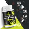 Liposomal Turkesterone Capsules 1500mg Supplement, Max Strength Ajuga Turkestanica Extract, Standardized to 20% Turkesterone, Optimal Absorption, Muscle Growth & Recovery, Gluten Free, Fillers Free view 3