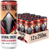 TENZING Natural Energy Drink, Plant Based, Vegan, & Gluten Free Drink, Pineapple & Passionfruit, 250ml (Pack of 12) - Packaging may vary view 1