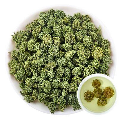 100% Dried Panax Notoginseng Flower 60G/2.12oz Ginseng Flower, Tienchi Notoginseng Tea, Sanqi, Tienchi Ginseng Sanqi Flower