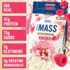 Applied Nutrition Critical Mass Professional - Weight Gain Protein Powder, High Calorie Weight Gainer, Lean Mass (6kg - 40 Servings) (White Chocolate & Raspberry) view 2