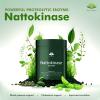 Nattokinase 2000 FU per Capsule | High Strength Nattokinase Capsules from Fermented Natto Soybeans | Non GMO, Natural & Vegan - GMP Certified Product | 90 Capsules - Made in the UK by Hellenia view 3