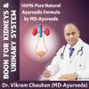 JEVR Mutrakrichantak Churna Advanced - 200 gm view 3