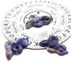 1PC 2" Snake Statue Natural Stone Crystal Rose Quartz Jade Jasper Lepidolite Carved Animal Figurine Home Decor,Blue Sodalite view 1