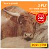 3ply Paper Soft Napkins Pack of 240 Nos - 33x33cm - Highland Cow Tartan - Scottish Design Napkins - Christmas, Dinner, Party, Party Night, Burns Supper,Scottish Wedding, Catering view 2