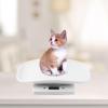 DOITOOL Small Pet Scale Digital Puppy Kitten Weight Measuring Animal Food Weighing Portable Electronic Scale for Kitchen Vet view 2