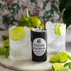 Fitch & Leedes Refreshing Soda Water Mixer for Spirits & Cocktails (12 x 200ml)  Perfect Pairing for Premium Whisky, Tequila, and Vermouth, Essential for Refined Cocktails view 2