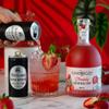 Fitch & Leedes Refreshing Soda Water Mixer for Spirits & Cocktails (12 x 200ml)  Perfect Pairing for Premium Whisky, Tequila, and Vermouth, Essential for Refined Cocktails view 3