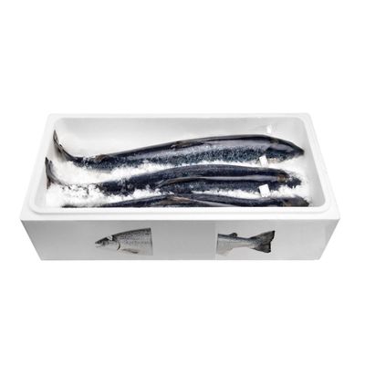 Salmon Box M Premium Fresh Salmon (6 Units)
