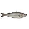 Pollock Fish Box 10kg  Premium Quality White Fish for Cooking & Processing view 1
