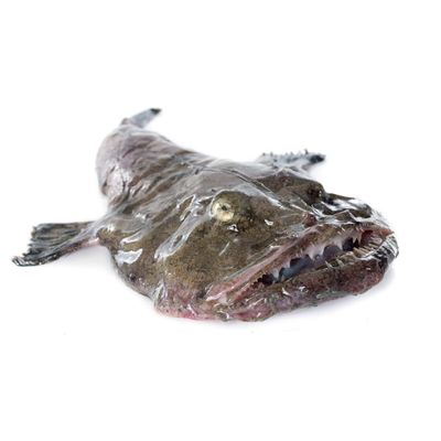 Monk Fish Box 10kg  Premium Fresh Monkfish, Firm & Meaty Texture, Perfect for Restaurants and Home Chefs
