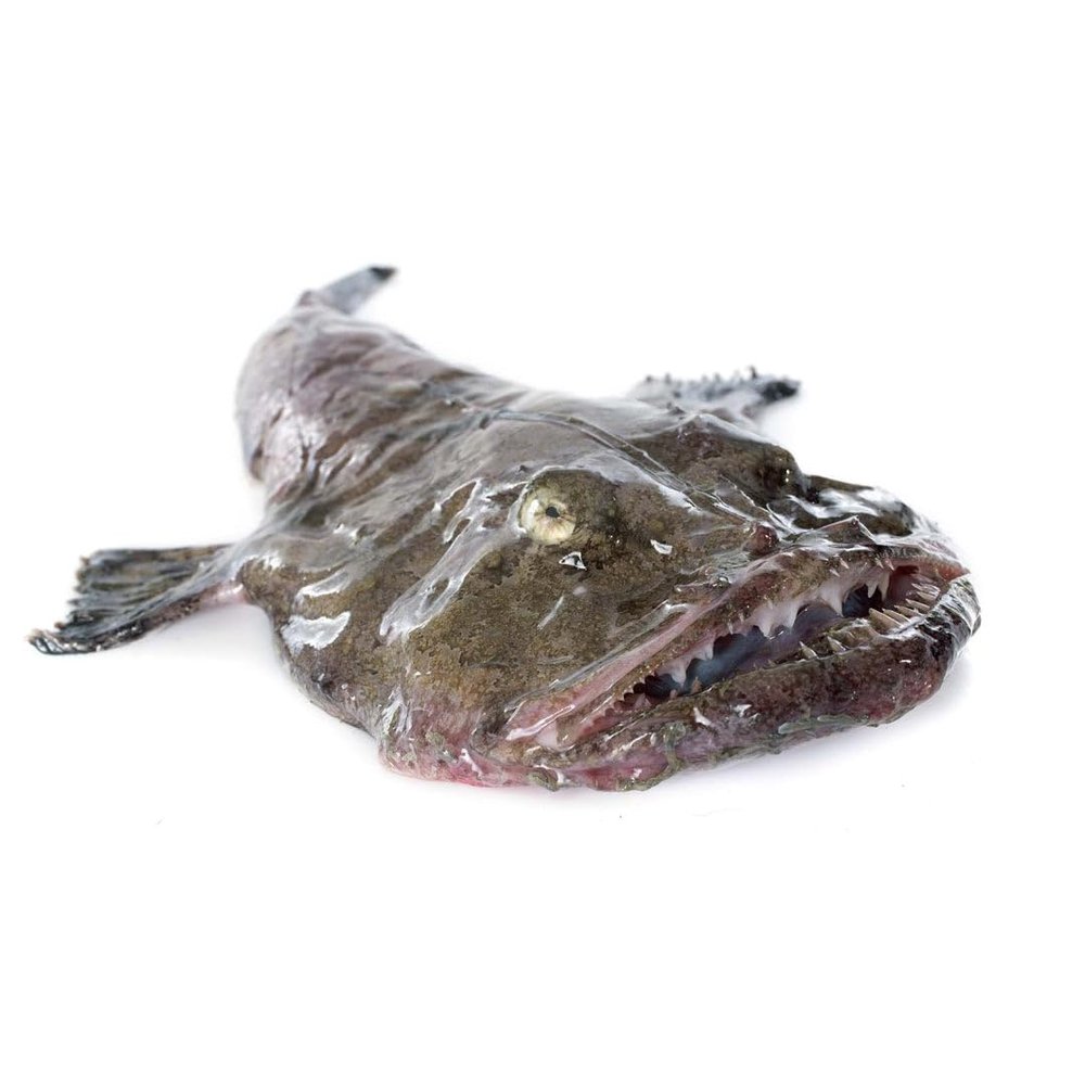 Monk Fish Box 10kg  Premium Fresh Monkfish, Firm & Meaty Texture, Perfect for Restaurants and Home Chefs