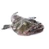 Monk Fish Box 10kg  Premium Fresh Monkfish, Firm & Meaty Texture, Perfect for Restaurants and Home Chefs view 1