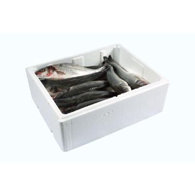 Premium Frozen Sea Bass M Fillets 6kg Box  Wild Caught, Skin-On | Individually Quick Frozen (IQF) for Freshness | High Protein & Omega-3 | Perfect for Restaurants, Catering & Home Chefs