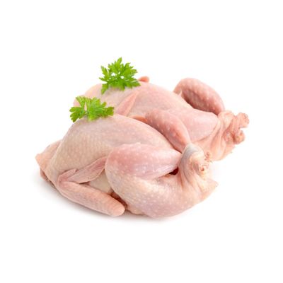 Premium Freshly Frozen Whole Grouse 400g x 20 Units Wild British Game Birds, High Protein Gourmet Meat for Restaurants, Catering & Fine Dining