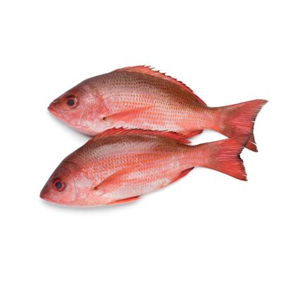 Red Snapper | Common Pandora Box 25kg Premium Quality Whole Fish