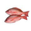 Red Snapper | Common Pandora Box 25kg  Premium Quality Whole Fish view 1