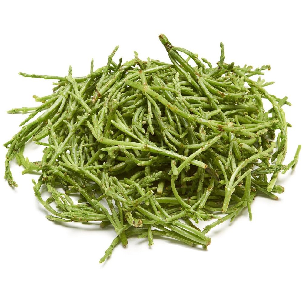 Fresh Sea Beans Box 12.5kg  Seasonal Samphire (SepNov Harvest)  Premium Quality Wild Sea Vegetables  Crisp, Salty Flavour for Restaurants, Chefs & Wholesale  Sustainably Sourced