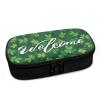 Pzuqiu St. Patrick Lucky Grass Insulin Cooler Travel Case - Diabetic Travel Case Suitable for Insulin People Carrying Temperature Sensitive Diabetes Medicines for Short Trips view 2