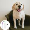 BESPORTBLE Dog Pregnancy Test at Home: Dog Pregnancy Kit Dog Pregnancy Test Kit at Home Disposable Testing Tube with Card Lancing and Sample Tube for Pet Early Pregnancy Test Tools view 2