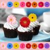 24 x Precut Gerbera Multicolour Flower Edible Wafer Paper 2D Floral Cupcake Topper Decoration For Cakes view 1