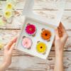 24 x Precut Gerbera Multicolour Flower Edible Wafer Paper 2D Floral Cupcake Topper Decoration For Cakes view 2