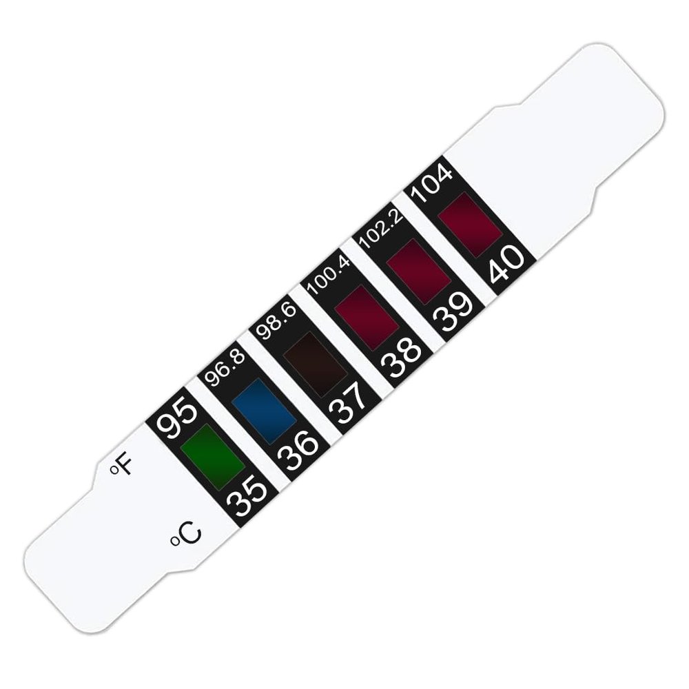 Body-Plus Forehead Head Strip Thermometer Strips, Adhesive and Reusable Strips, Non Invasive Medical Touch Thermometer for Adults and Children