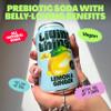 Living Things Prebiotic Soda - Gut Health & Low Calorie Drink - 12 x 330ml Cans - High in Fibre - Lemon & Ginger view 2