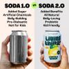 Living Things Prebiotic Soda - Gut Health & Low Calorie Drink - 12 x 330ml Cans - High in Fibre - Lemon & Ginger view 4