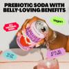 Living Things Prebiotic Soda - Gut Health & Low Calorie Drink - 12 x 330ml Cans - High in Fibre - Raspberry & Pomegranate view 2
