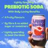 Living Things Prebiotic Soda - Gut Health & Low Calorie Drink - 12 x 330ml Cans - High in Fibre - Raspberry & Pomegranate view 3