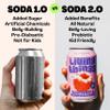 Living Things Prebiotic Soda - Gut Health & Low Calorie Drink - 12 x 330ml Cans - High in Fibre - Raspberry & Pomegranate view 4