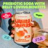 Living Things Prebiotic Soda - Gut Health & Low Calorie Drink - 12 x 330ml Cans - High in Fibre - Peach & Blood Orange view 2