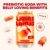Living Things Prebiotic Soda - Gut Health & Low Calorie Drink - 12 x 330ml Cans - High in Fibre - Peach & Blood Orange view 3