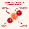 Living Things Prebiotic Soda - Gut Health & Low Calorie Drink - 12 x 330ml Cans - High in Fibre - Peach & Blood Orange view 4